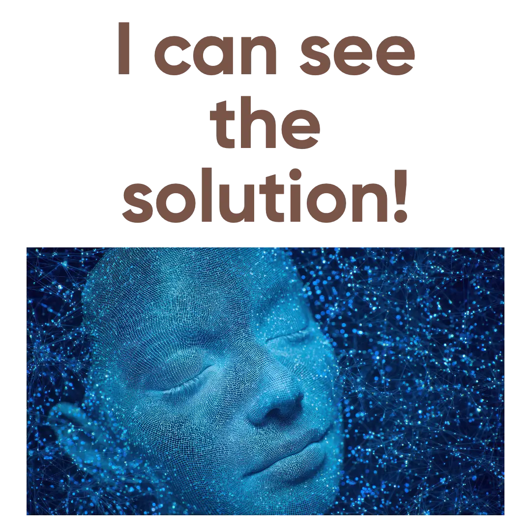 The descriptive language made it possible to see the solution working in real time